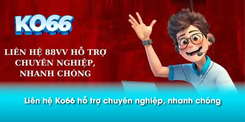 Liên hệ Ko66 hỗ trợ chuyên nghiệp, nhanh chóng